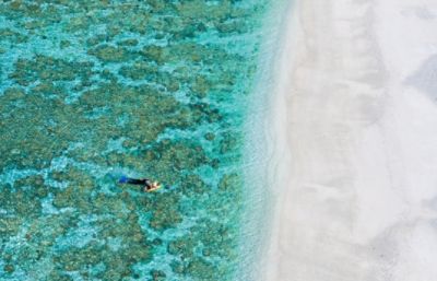 great barrier reef australia lady elliot island
